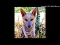 Instrumental -  Ricky Blaze Mo Hits All Star   Be Close to You - Remix  Panico Raboday By Dj Boston