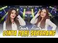 Shinta Arsinta - Cinta Dari Seberang (Official Music Live) l Jauh Sungguh Abang Mencari Cinta