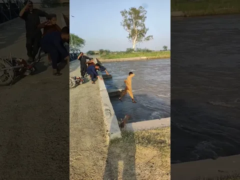 pal pal Jeena mohal 😯 #tariqmeo #shorts #viral #viralvideo