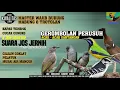 Download Lagu katem cungko pelatuk cililin murai air mancur