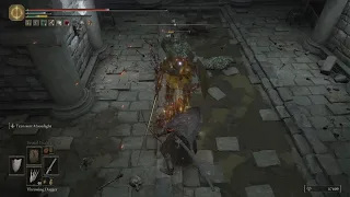 AELIA CATACOMBS LOCKED BY SOME CONTRAPTION ELDEN RING