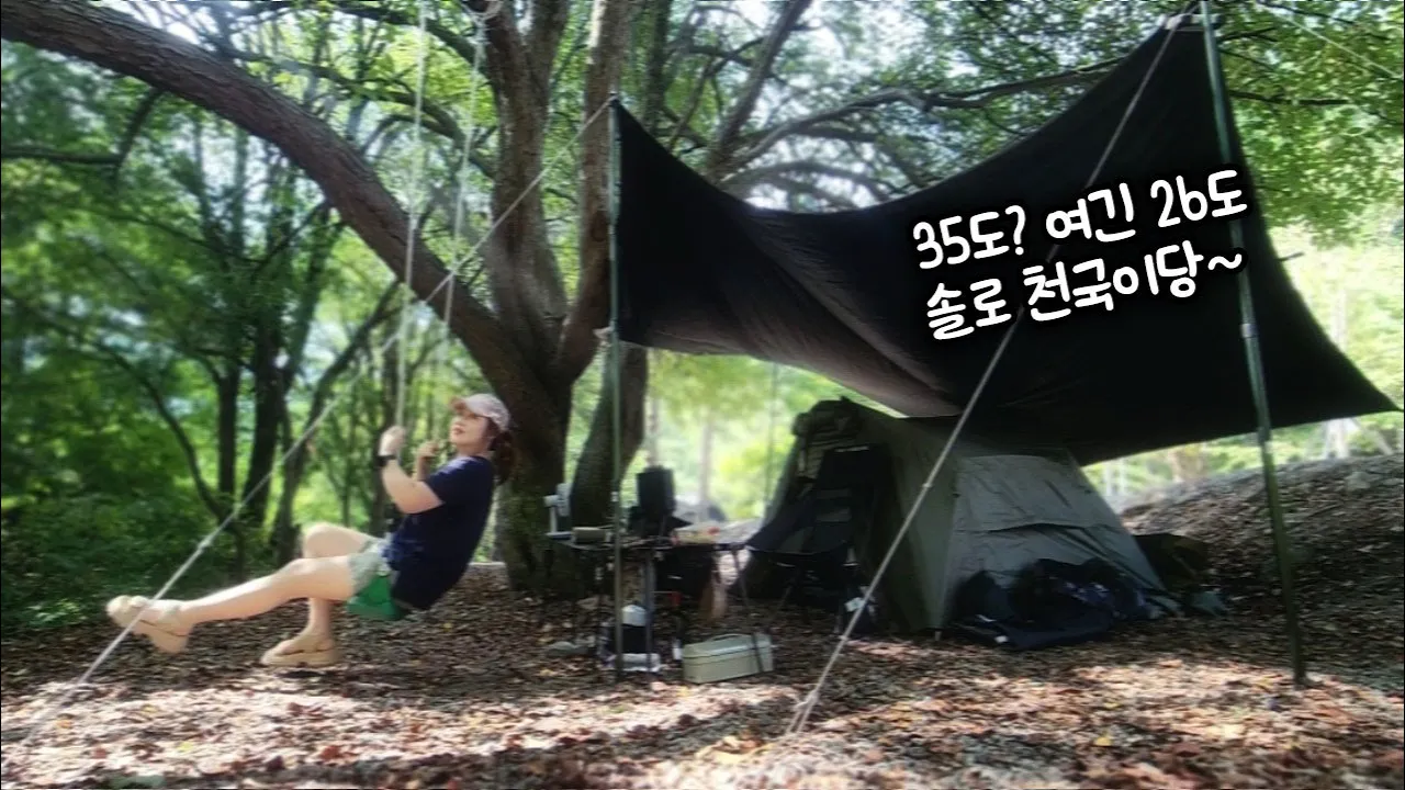 캠핑 폭염 피해서 도망간 솔로캠핑 멘붕으로 시작 트랩오버랜드 캠핑테이블 밀리터리캠핑 카키 텐트 타프 떡볶이 야채튀김 김치전 サムネイル