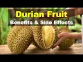 Durian Fruit Benefits and Side Effects Is Durian Good For You