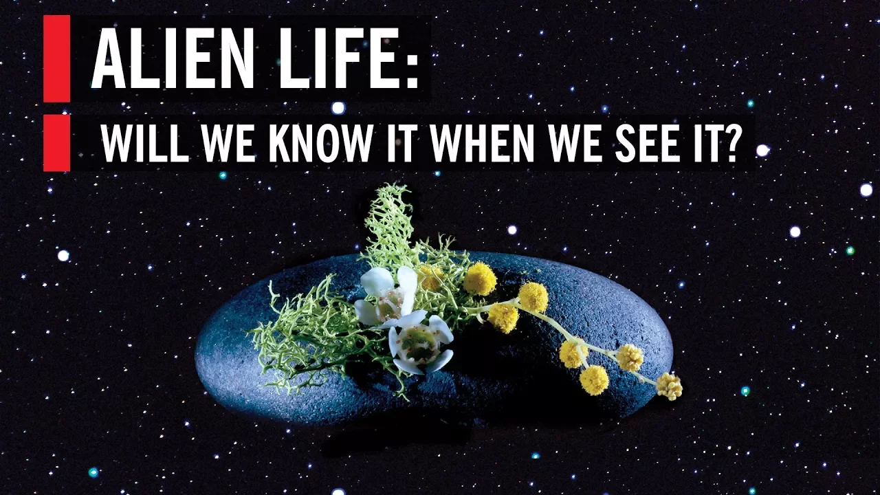 Alien Life: Will We Know It When We See It?
