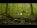 17 Minute Timer with Nature Sounds - Countdown Timer