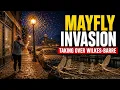 The Mayfly Invasion Taking Over Wilkes-Barre PA