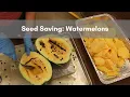 How to Save Seeds from Watermelon