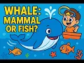 Why Are Whales Mammals Not Fish Fun Ocean Science for Kids