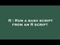 R Run a bash script from an R script