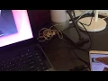 Ubuntu 16 04 runs artoolkit demo simpleLite