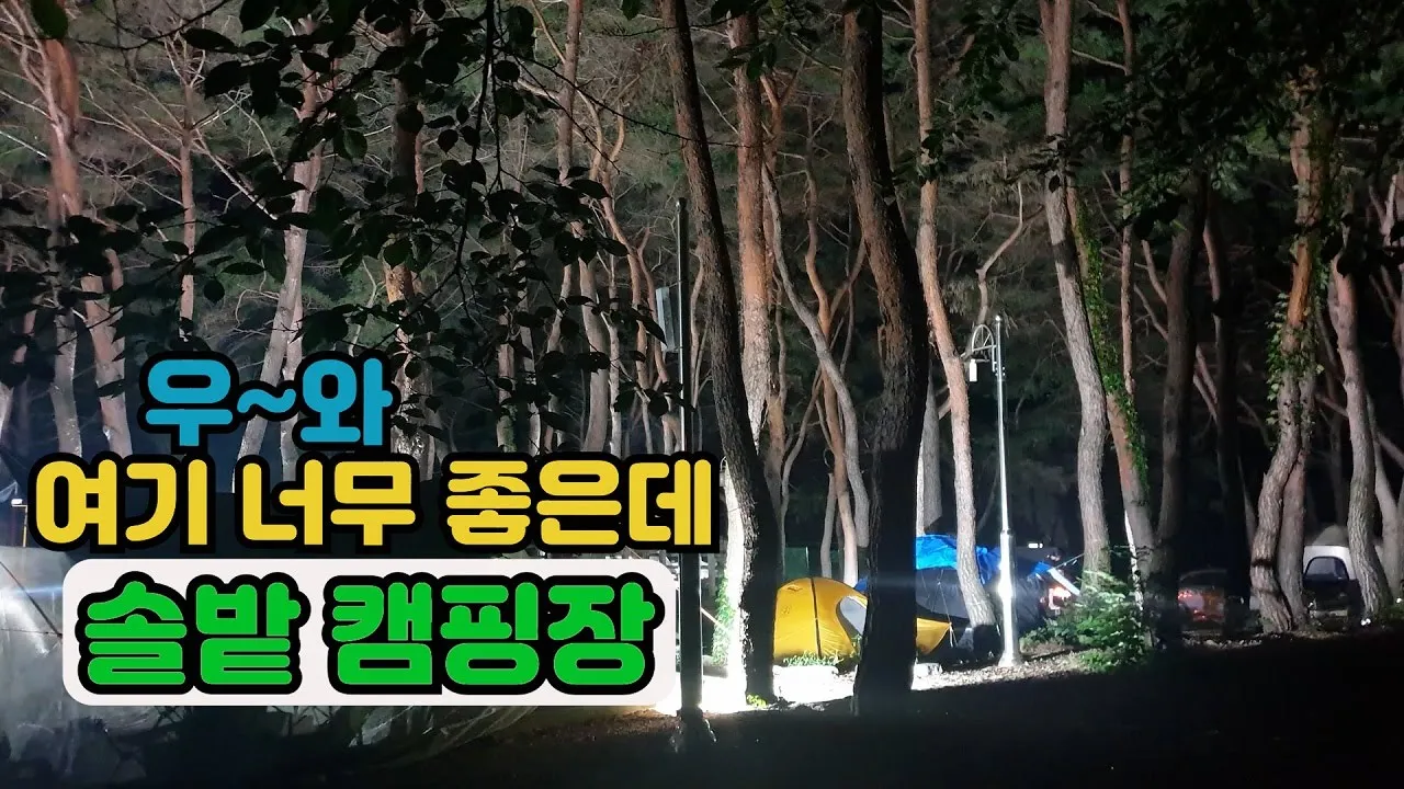 [무주]조용한 캠핑지 찾으시나요??? 그럼 바로 이곳입니다.. 솔향 가득한 캠핑장/장작은 무료 썸네일
