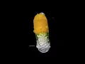 Pill dissolving in Water