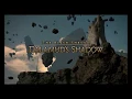 FFXIV Dalamud s Shadow Fun Run