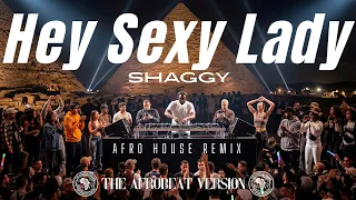 hey sexy lady shaggy best afro house u0026 deep club remix