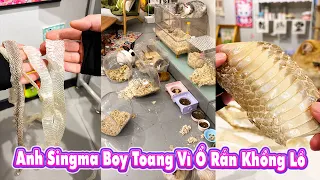 Anh Singma Boy Toang Vì Ổ Rắn Khổng Lồ?