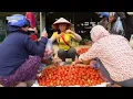 Peaceful Slow Living | Harvesting Organic Tomatoes & Vegetables in a Small Garden
