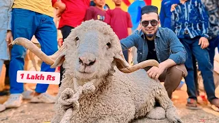 Ek Bar Firse Bhopal Bakra Mandi Gaye 😍  AL Aamir Khan 2026 Bazar Vlog | Cattle Market Goat in India