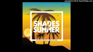 afrikan drums x wild one94 shades of summer original mix 