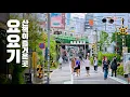 Download Lagu 도쿄 요요기 평화로운 산책, 도쿄에 몇 개 남았을까요? 요요기의 오늘