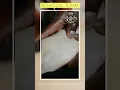 The Massage Experience at Concierge Health and Wellness Massage and Spa in Albuquerque NM
