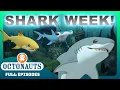 Download Lagu @Octonauts - ✨🦈 Shark Week MEGATHON 🦈✨ | 2 Hours+ Full Episodes Marathon