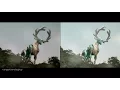 Power Rangers Wild Force Princess Shayla Sings to Deer Zord Split Screen (PR and Sentai version)