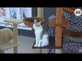 Elfie Cutie pie 2017 02 09
