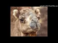London Grammar - Lose Your Head (CamelPhat Mix)