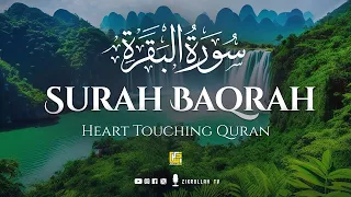 Surah Al Baqarah سورة البقرة Full | Powerful Quran Recitation for Peace and Protection for Your Home