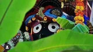  jagannath mahima anubhutire jagannath rabindra narayayn mishra