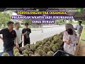 Download Lagu PELANGGAN WANITA FASIH BERBAHASA MANDARIN JADI JURUBAHASA DIGERAI DURIAN RAIH PERHATIAN