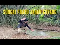 Download Lagu PENARIKAN PUSAKA KUJANG PRABU GAIB❗️