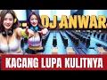 Download Lagu DJ DANGDUT REMIX KOPLO// KACANG LUPA KULITNYA 