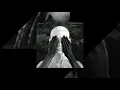 Torii Wolf - No One Knows but Me