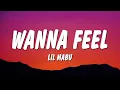 Lil Mabu - wanna feel (Lyrics)