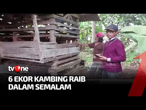 Pencuri Ternak Kembali Beraksi di Banjar, 6 Ekor Kambing Hilang dalam Semalam