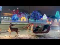 2020 Rosemont Holidays Lights Chicago