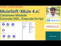 MuleSoft Database Module - Execute DDL