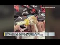 Albuquerque Animal Welfare Department seeks donations for orphaned kittens puppies