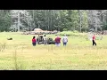 Cottonwood Road Dothan Al tractor accident