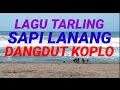 Download Lagu LAGU TARLING SAPI LANANG DANGDUT KOPLO