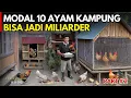 Download Lagu MODAL 10 AYAM KAMPUNG BISA JADI MILIARDER DI KAMPUNG SENDIRI | CERITA USAHA