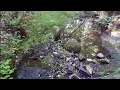 Hunting Native Artifacts 18 New Creek Hunt Points Tools And More