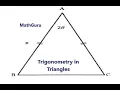 Trigonometry in Triangles 2D