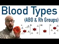 Blood Types ABO and Rh - Antigens and Antibodies