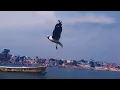Download Lagu BURUNG MENGAJI // SURAT AR RAHMAN IRAMA BAYYATI
