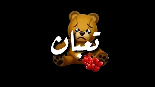 مهرجان  تعبان وبموت     مره   مجدي شطه  حالات واتس شاشا سواده  دندنها