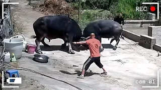 اغرب الاشياء التي تم التقاطها علي كاميرات المراقبة 