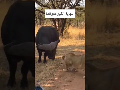 في اخر ثانية صراع غير قواعد الطبيعة للأبد #shorts