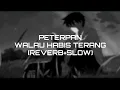 Download Lagu Peterpan - Walau Habis Terang (Reverb+slow)